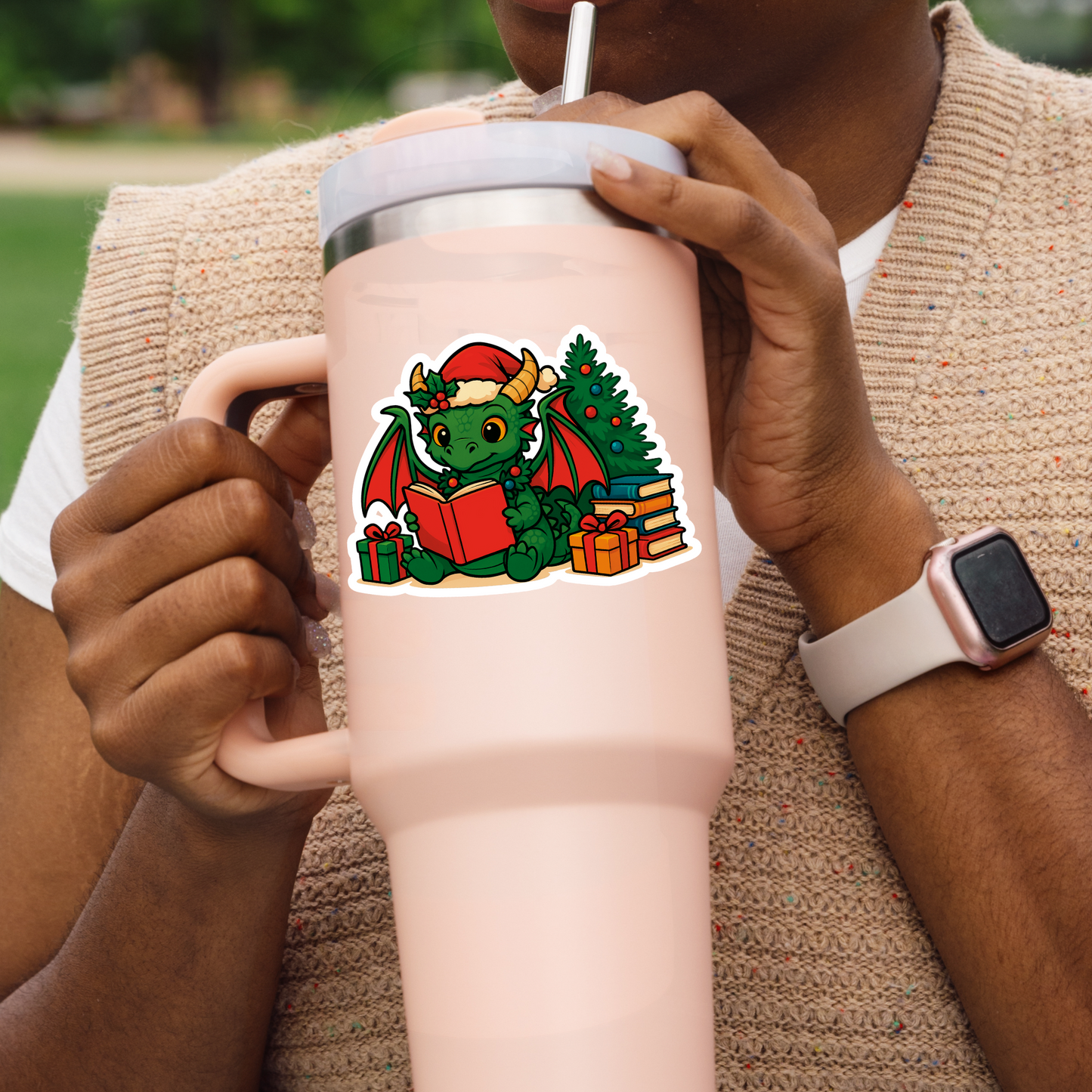 Christmas Dragon Reading Sticker