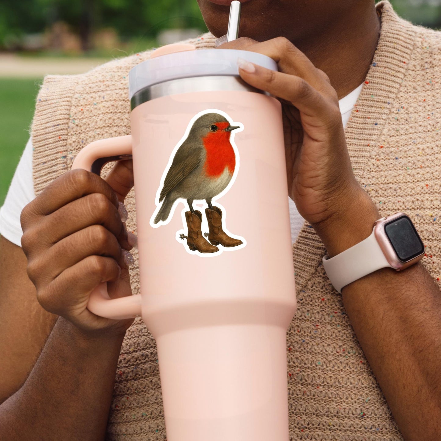Cowboy robin Sticker, little bird sticker, Wildlife sticker, nature sticker, cowboy boots sticker, bird watcher sticker, woodland sticker