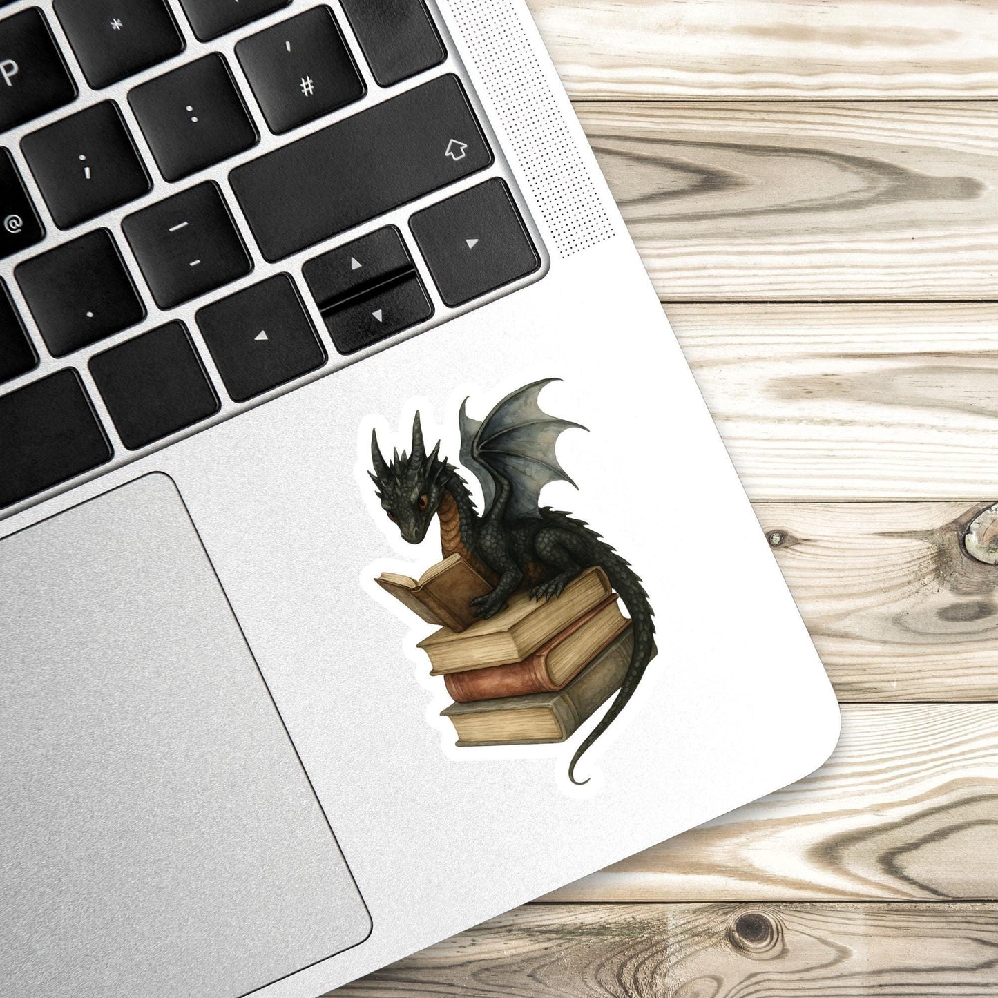 Black Dragon Book Sticker, witch Sticker, gothic sticker, Fantasy Bookish Merch, Book Lover Gift, e-reader Kindle Stickers, Reading Lover,