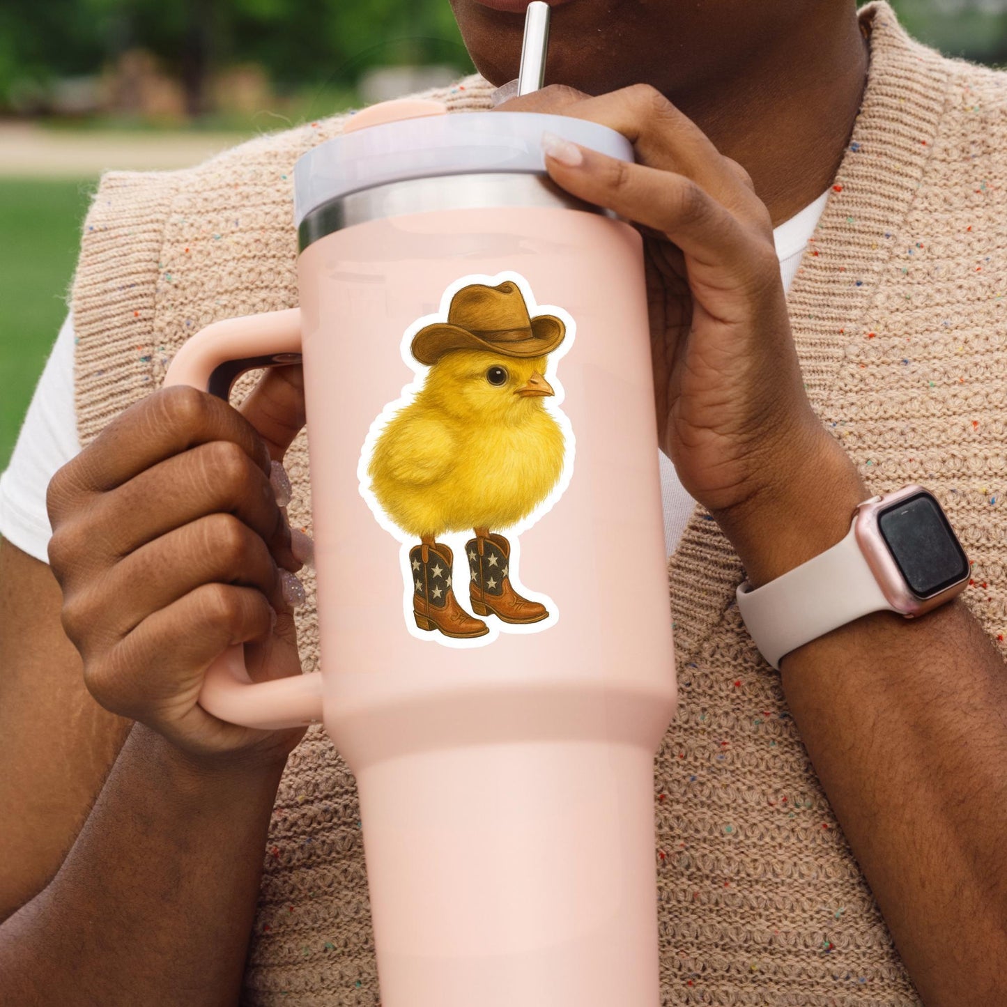 Cowboy chicken Sticker, little bird sticker, Wildlife sticker, nature sticker, cowboy boots sticker, chicken sticker, cute chicken sticker,