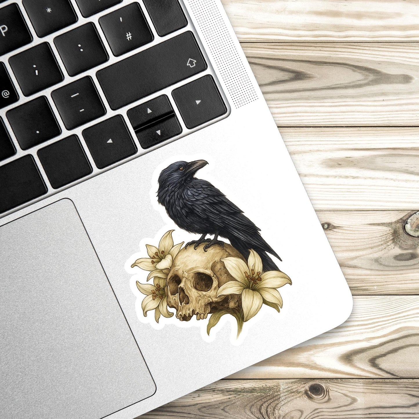 Raven Sticker, Dark Academia sticker, skull sticker, gothic sticker, dark Romance for your water bottle, laptop sticker, kindle sticker