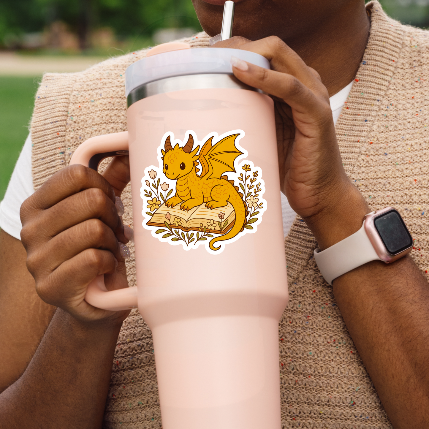 Dragon Reading Sticker