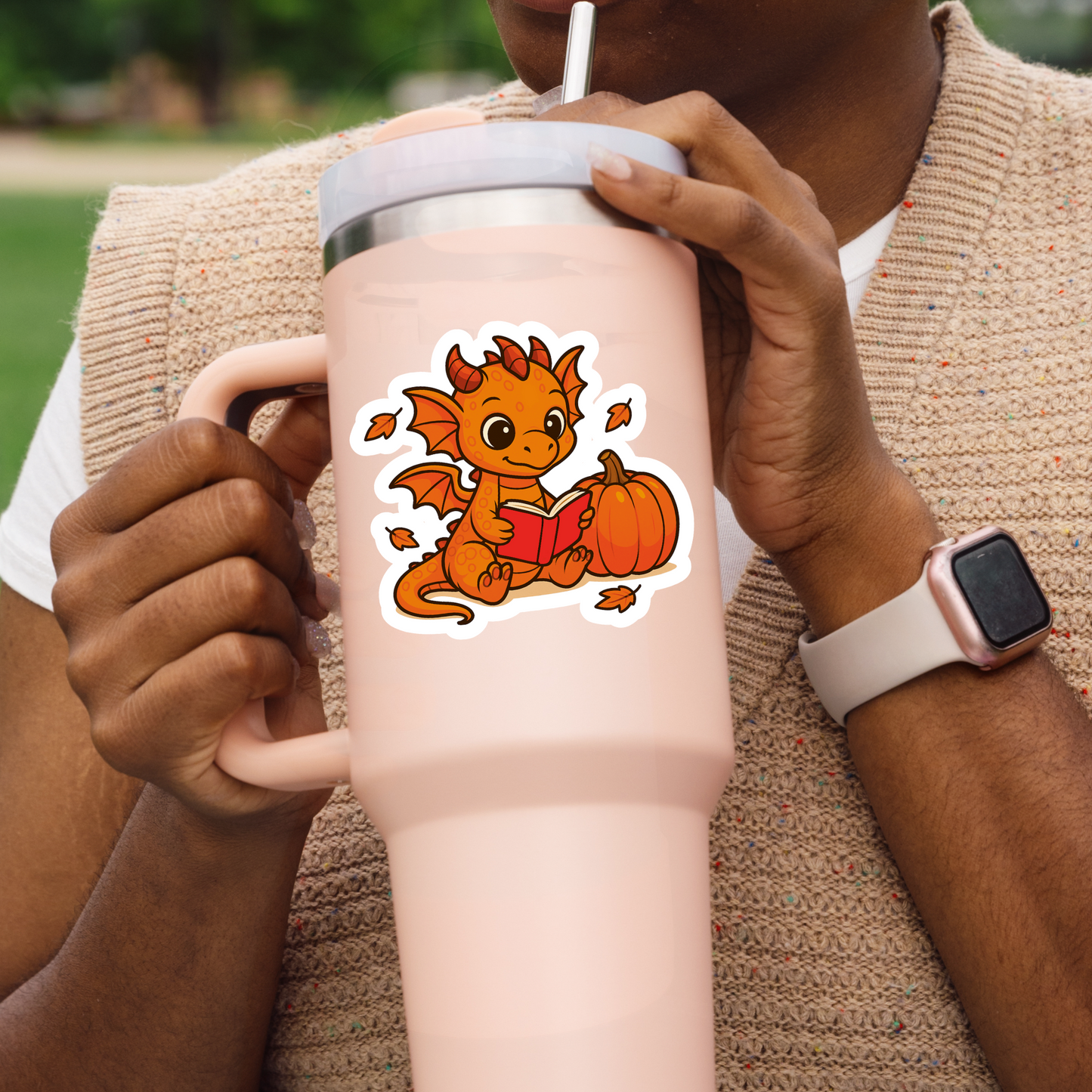 Dragon Reading Sticker