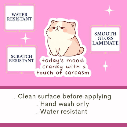 Sassy cat Sticker, sarcastic sticker, cat Sticker, anxiety sticker, sarcastic sticker, funny cat sticker, Kindle Sticker, sticker dark humou