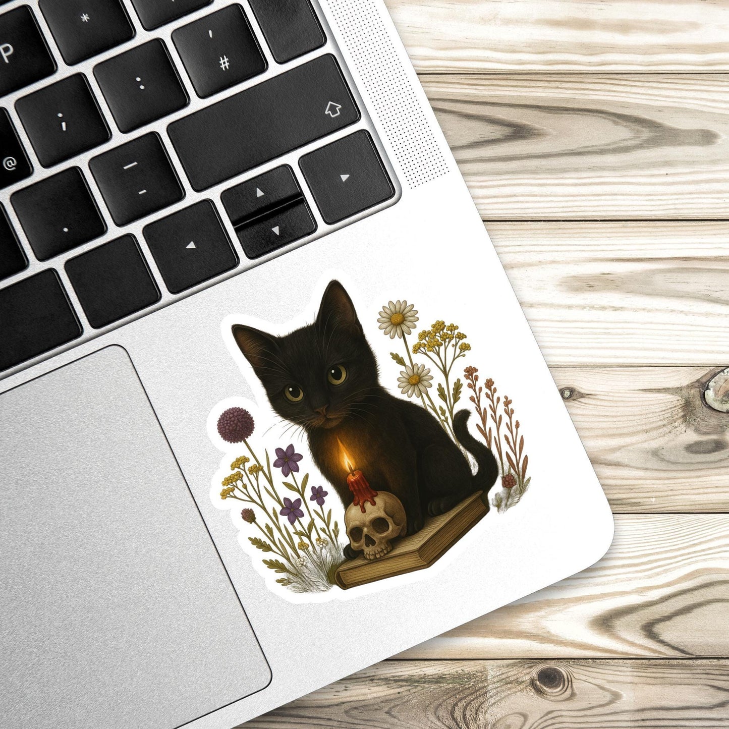 Black cat Book Sticker, witch Sticker, gothic sticker, Fantasy Bookish Merch, Book Lover Gift, Kindle Stickers, black cat sticker