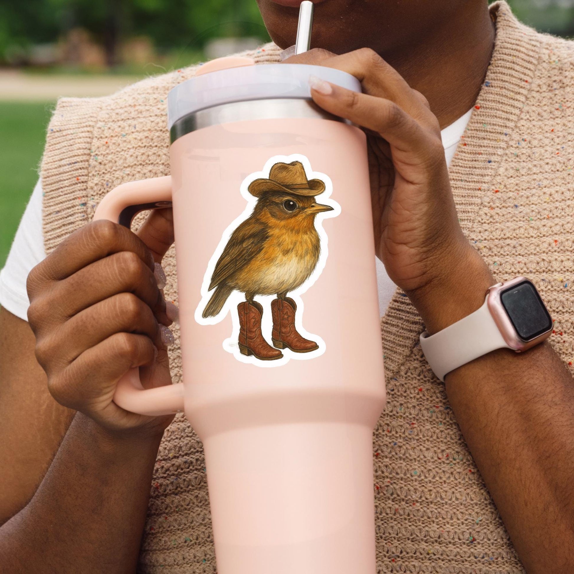 Cowboy wren Sticker, little bird sticker, Wildlife sticker, nature sticker, cowboy boots sticker, bird watcher sticker, woodland sticker