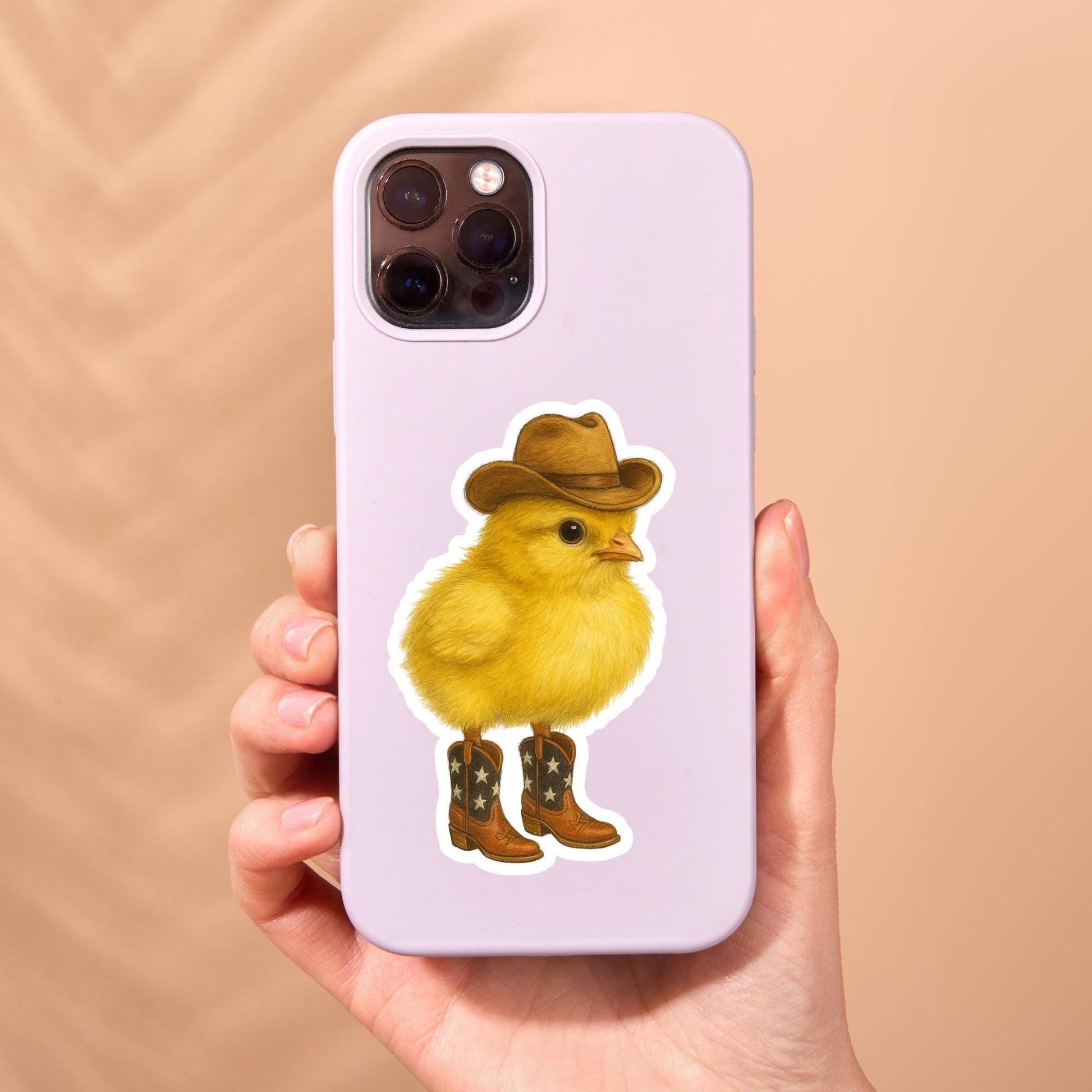 Cowboy chicken Sticker, little bird sticker, Wildlife sticker, nature sticker, cowboy boots sticker, chicken sticker, cute chicken sticker,