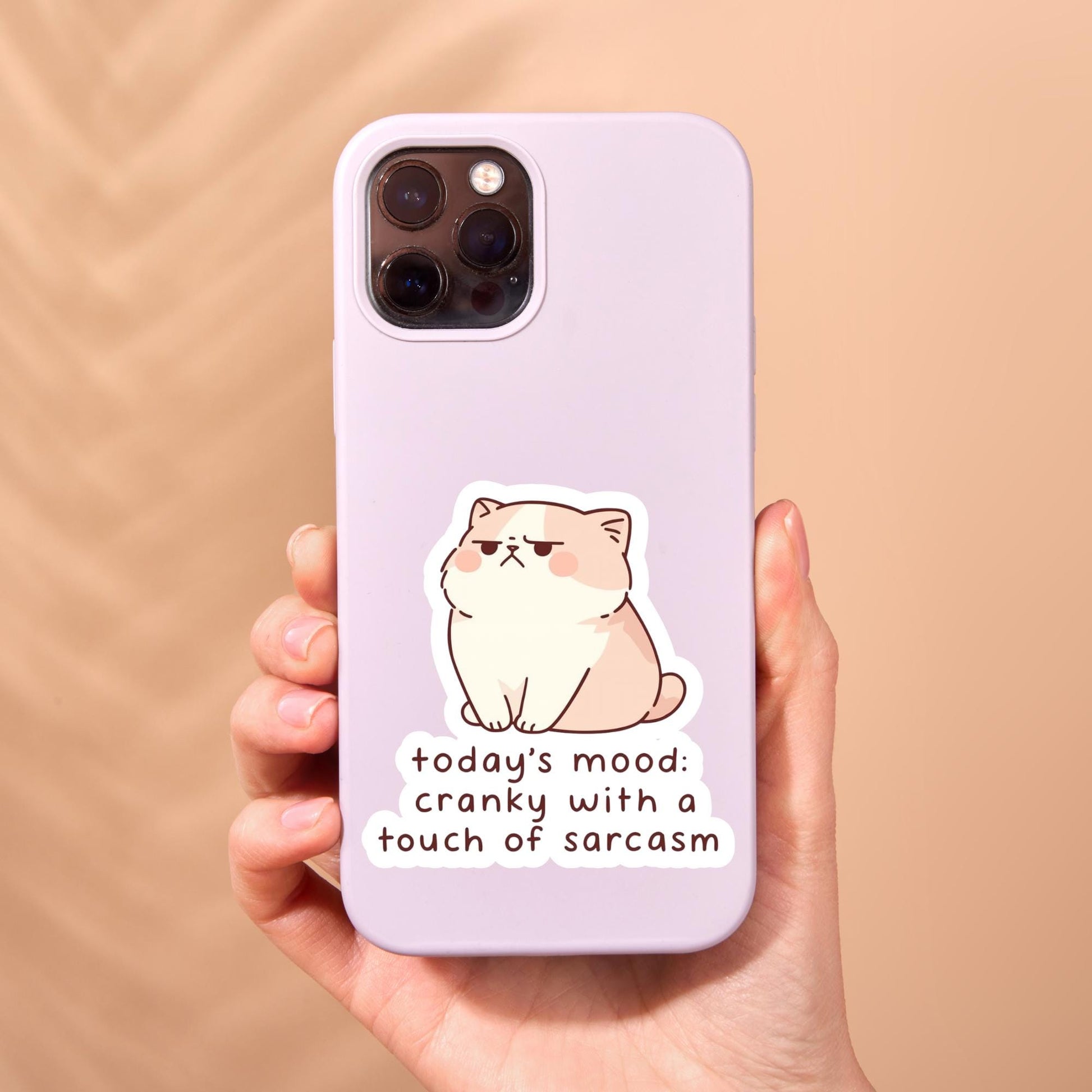 Sassy cat Sticker, sarcastic sticker, cat Sticker, anxiety sticker, sarcastic sticker, funny cat sticker, Kindle Sticker, sticker dark humou