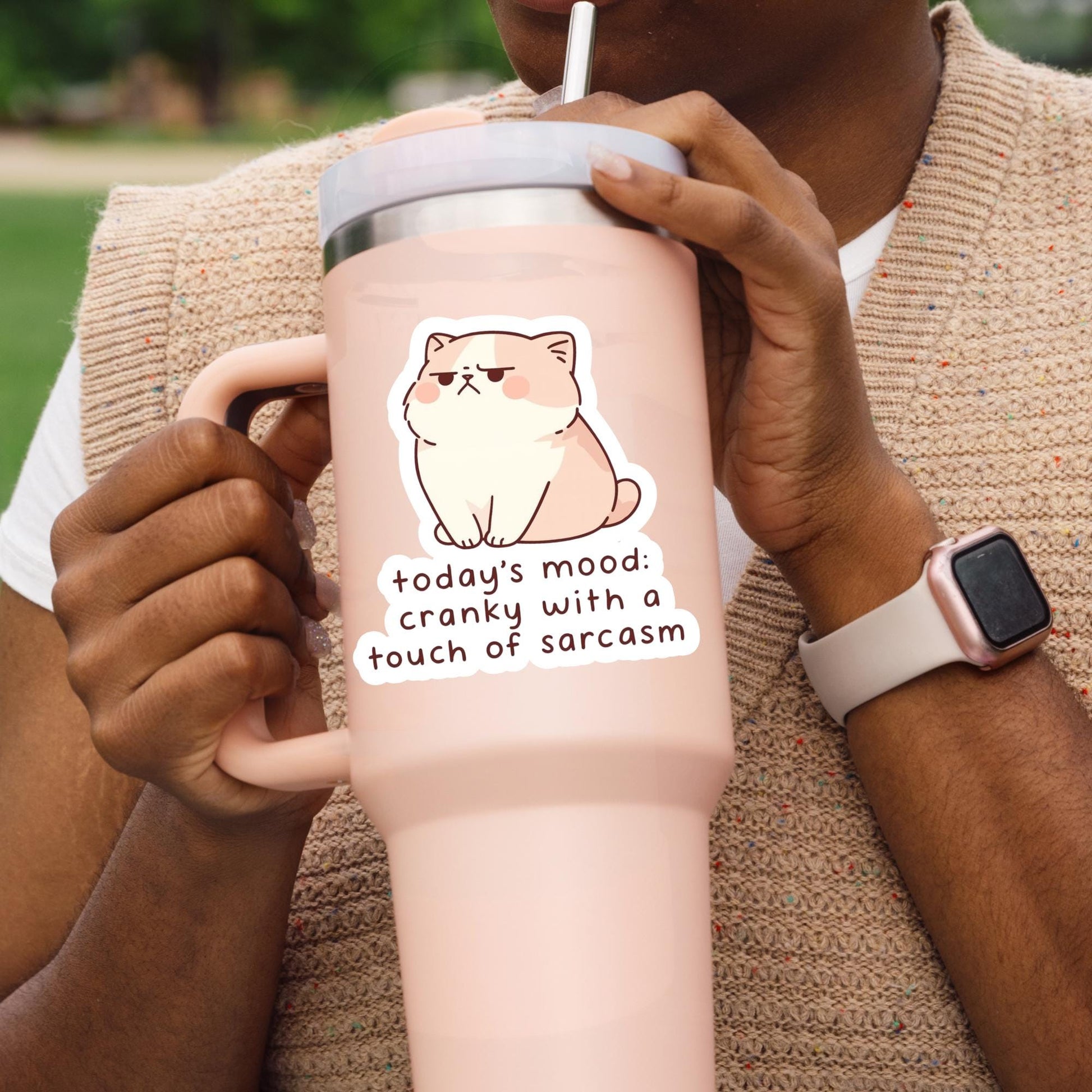 Sassy cat Sticker, sarcastic sticker, cat Sticker, anxiety sticker, sarcastic sticker, funny cat sticker, Kindle Sticker, sticker dark humou