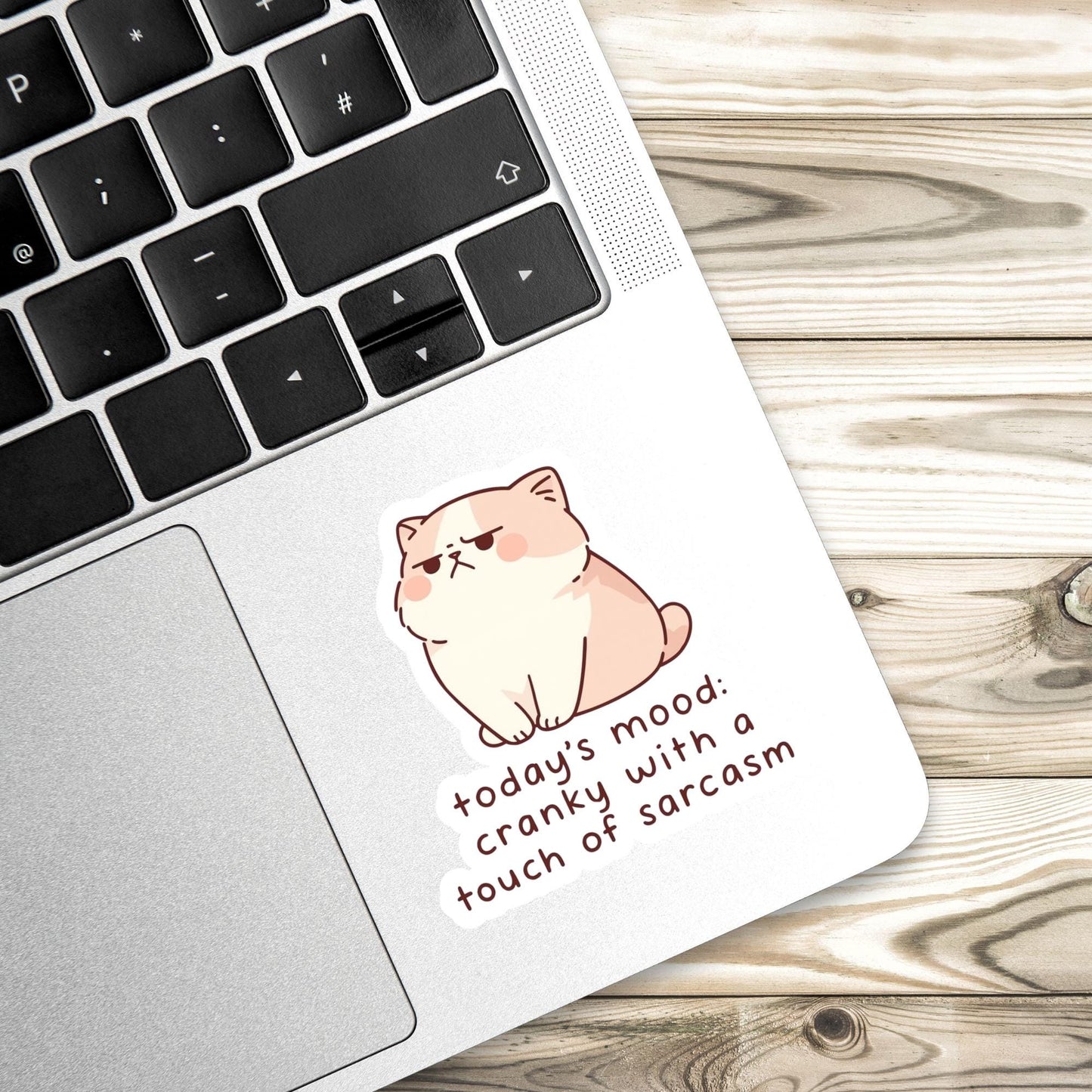 Sassy cat Sticker, sarcastic sticker, cat Sticker, anxiety sticker, sarcastic sticker, funny cat sticker, Kindle Sticker, sticker dark humou