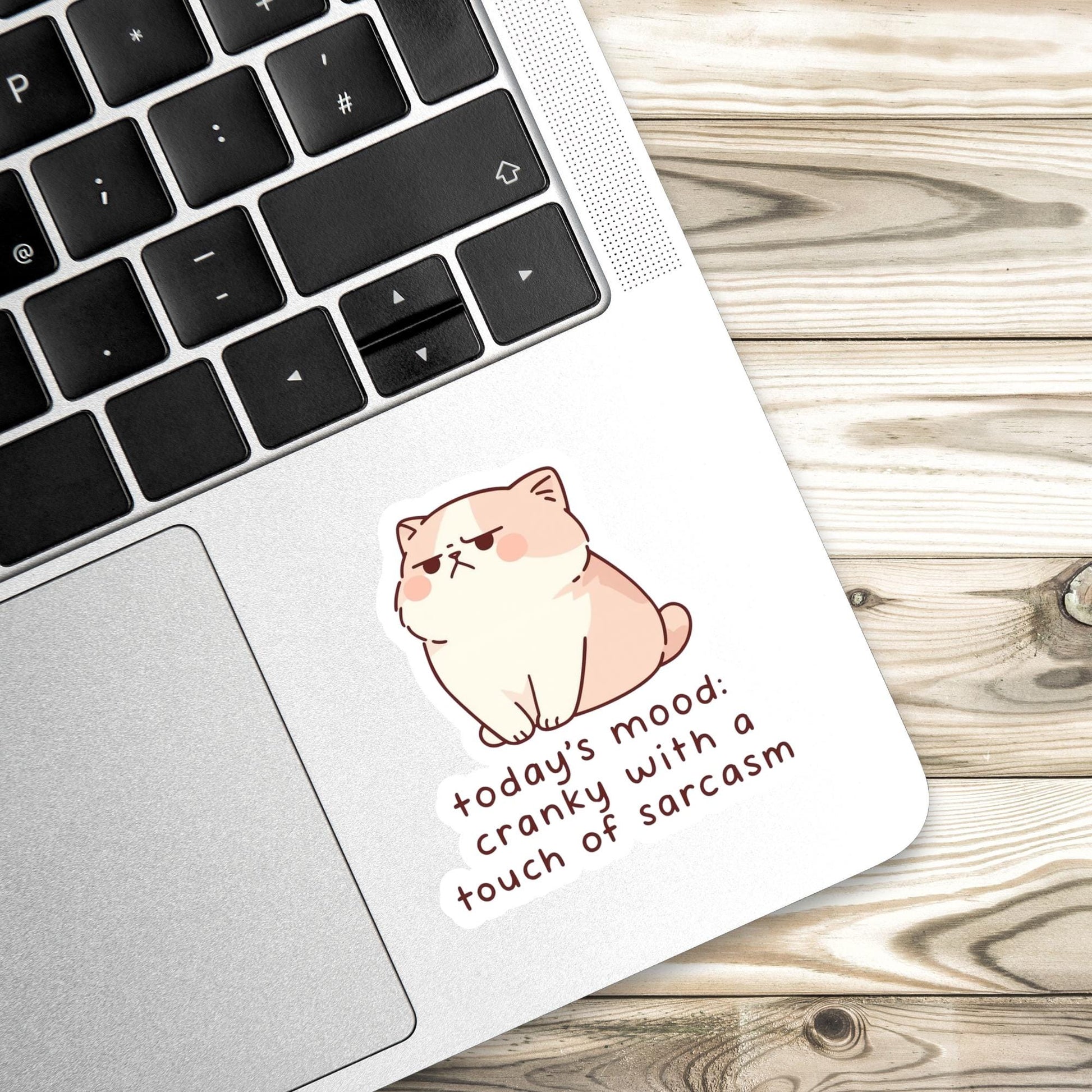 Sassy cat Sticker, sarcastic sticker, cat Sticker, anxiety sticker, sarcastic sticker, funny cat sticker, Kindle Sticker, sticker dark humou