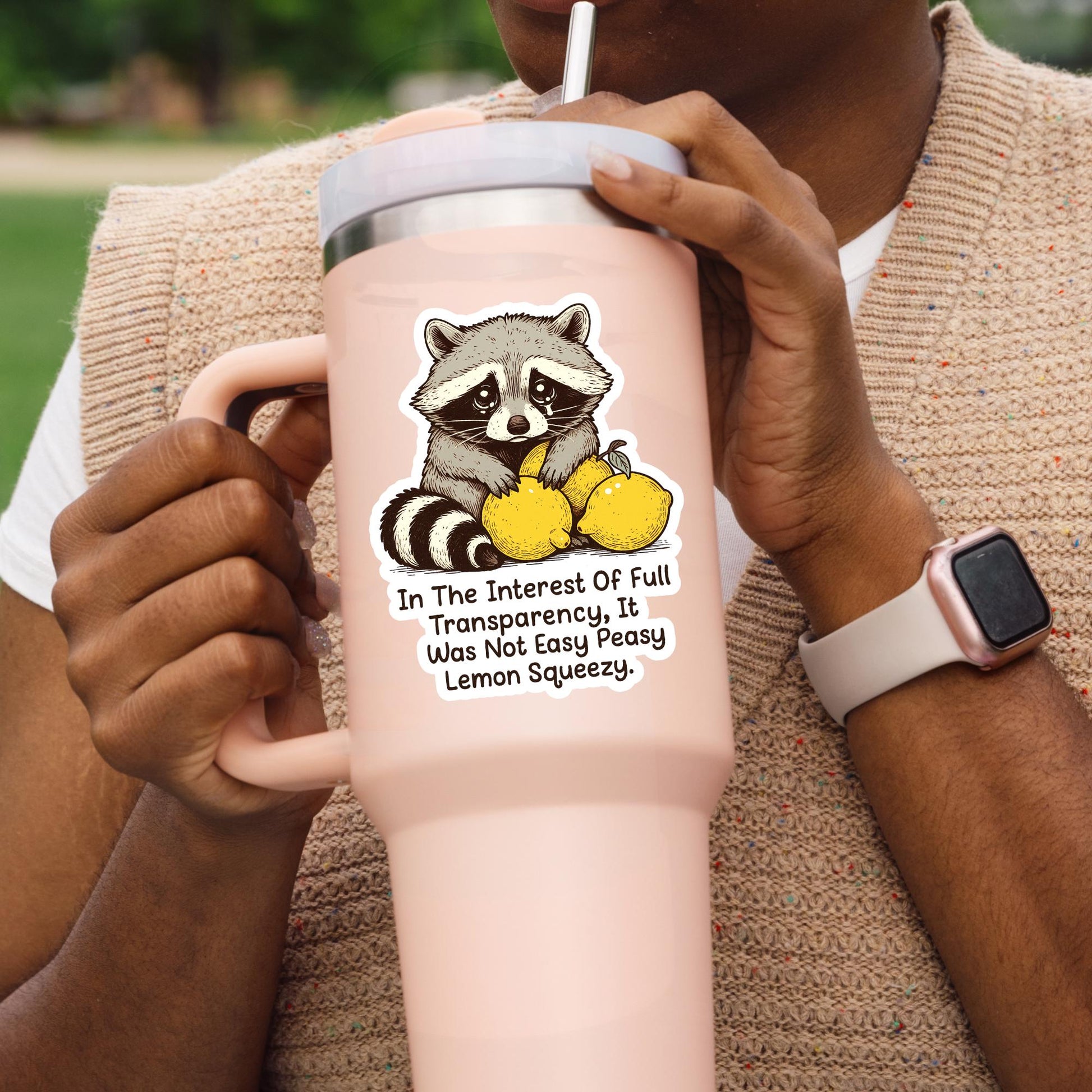 In The Interest Of Full Transparency, It Was Not Easy Peasy Lemon Squeezy Sticker, Funny Raccoon, Woodland Animal, Laptop Decal, Trash Panda