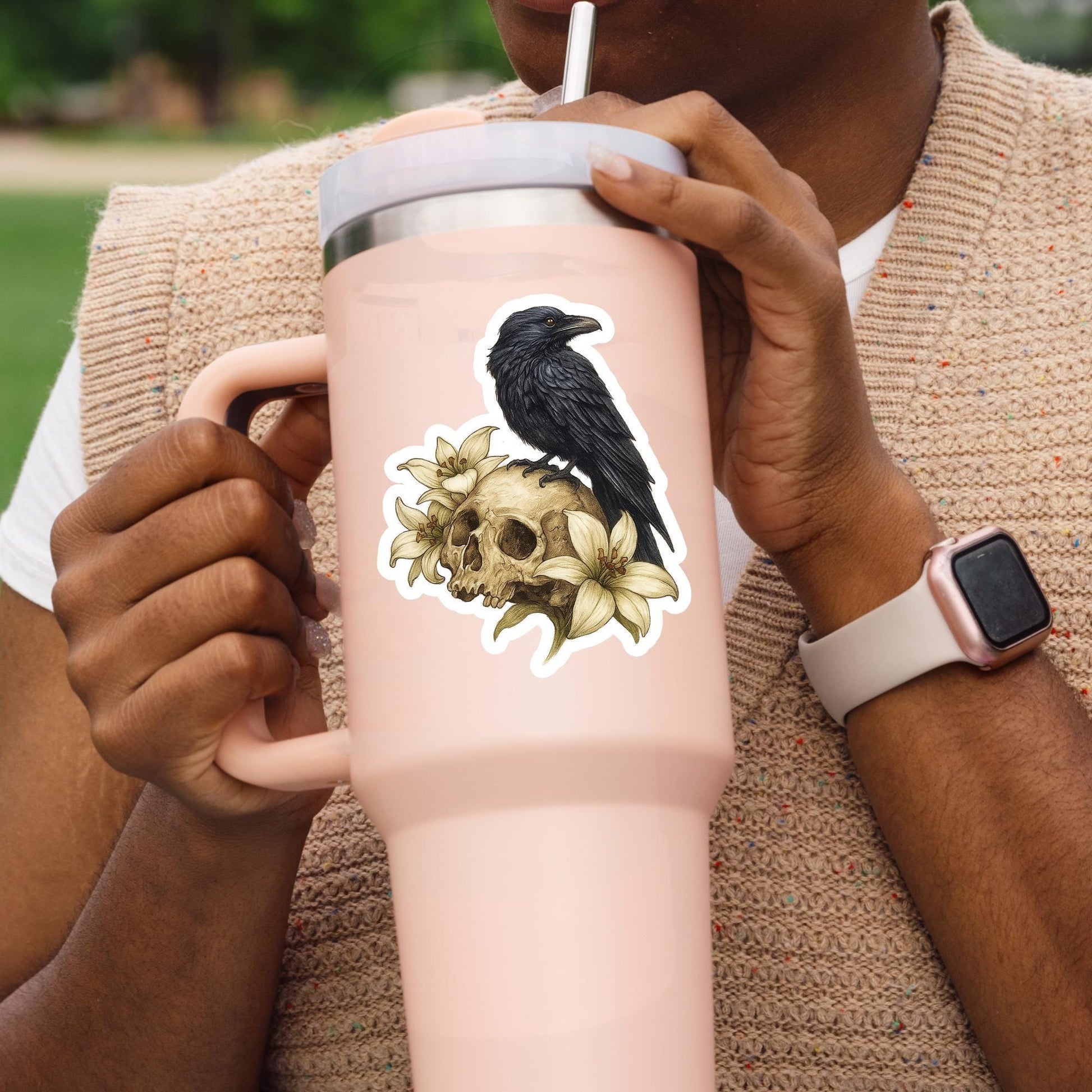 Raven Sticker, Dark Academia sticker, skull sticker, gothic sticker, dark Romance for your water bottle, laptop sticker, kindle sticker