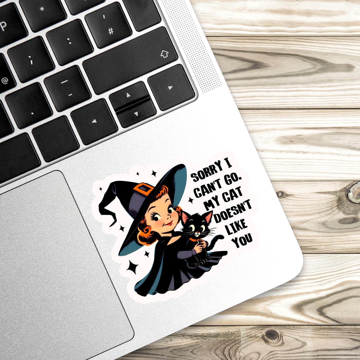 My cat doesn’t like you sticker, Black cat Sticker, witch Sticker, gothic sticker, Fantasy Bookish Merch, sarcastic sticker, Kindle Sticker