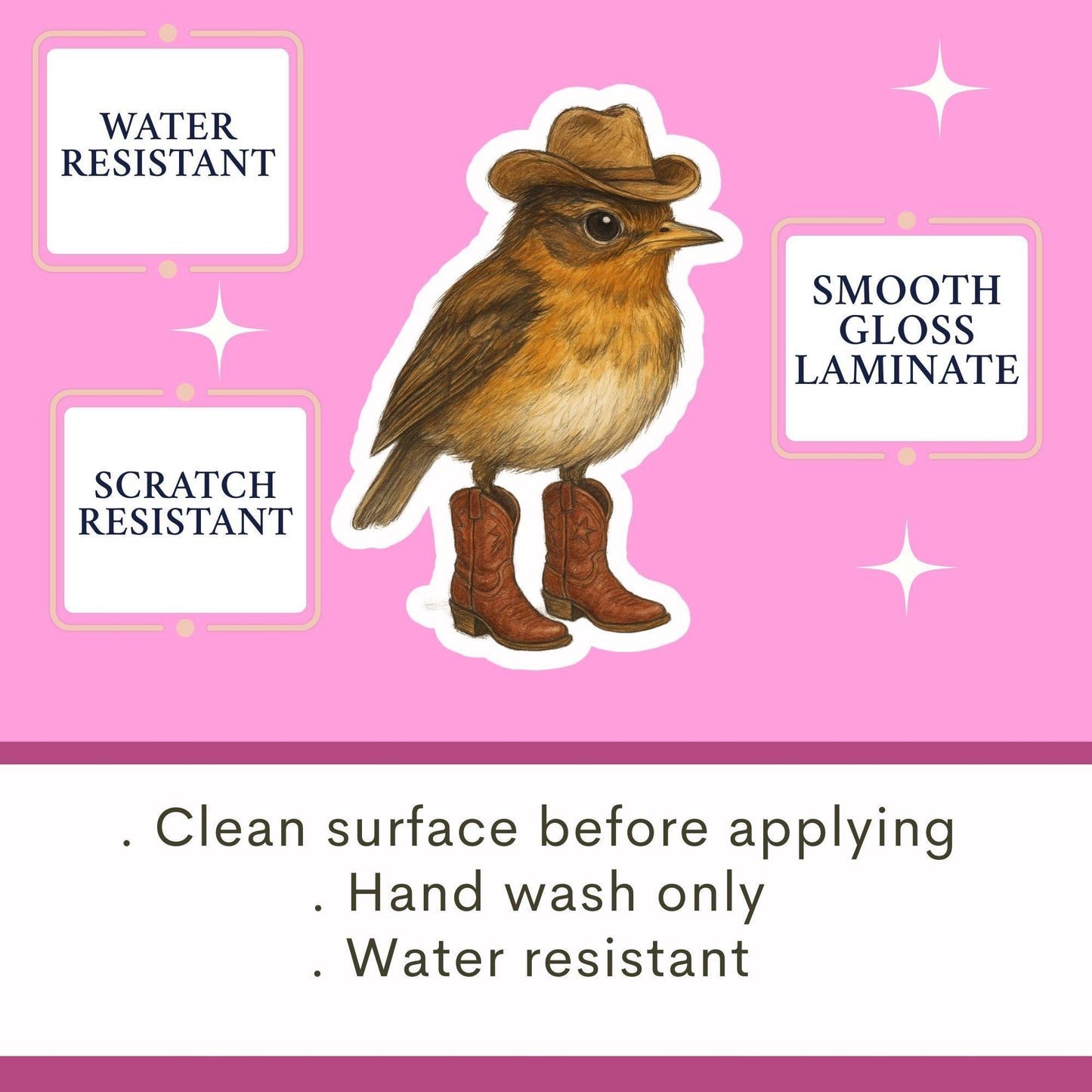 Cowboy wren Sticker, little bird sticker, Wildlife sticker, nature sticker, cowboy boots sticker, bird watcher sticker, woodland sticker