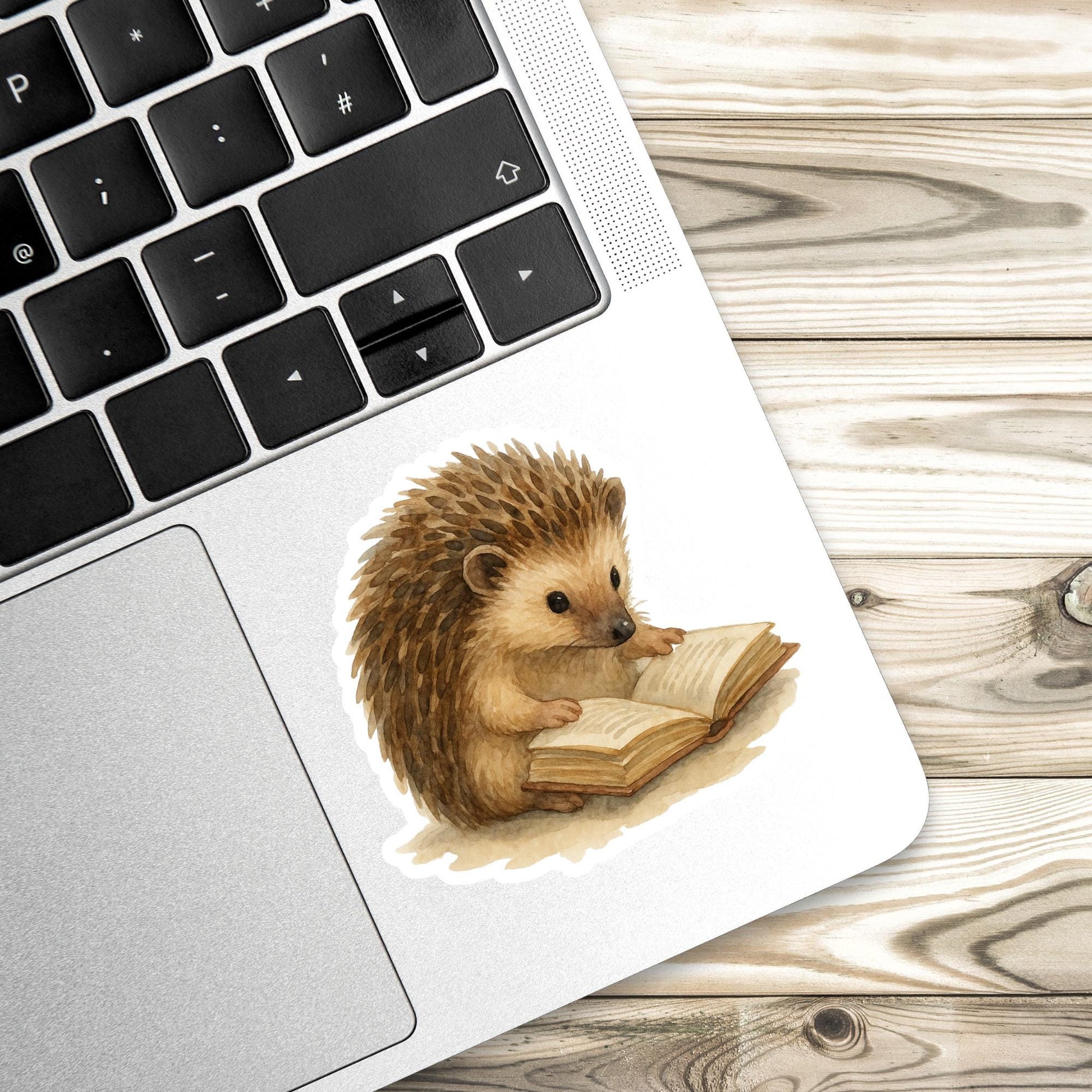 Hedgehog Book Sticker, Cute Vinyl Sticker, Fantasy Bookish Merch, Book Lover Gift, e-reader Kindle Stickers, Reading Lover, Booktok